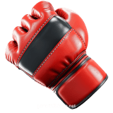 MMA
